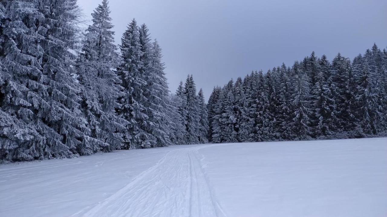 Penzion Zvon Horní Stropnice Exteriör bild